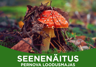 seenenäitus