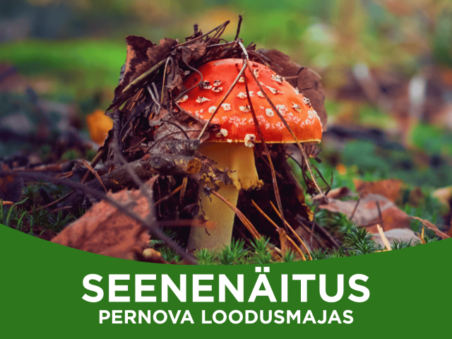 seenenäitus