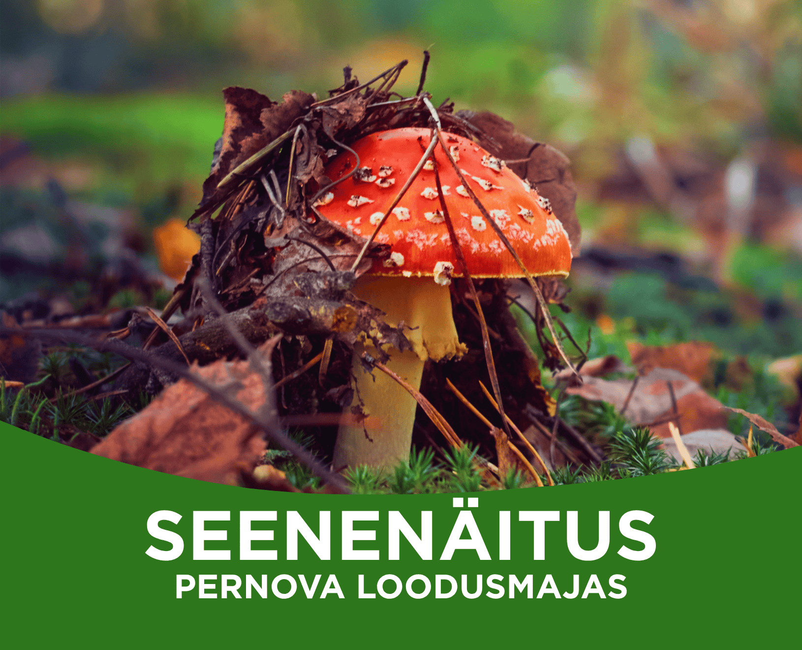 seenenäitus